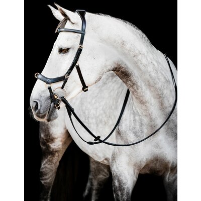 HORSEWARE Micklem 2 Multi Bridle 