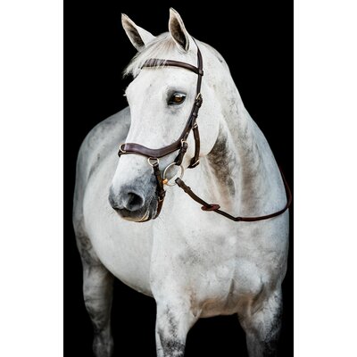 HORSEWARE Micklem 2 Multi Bridle 