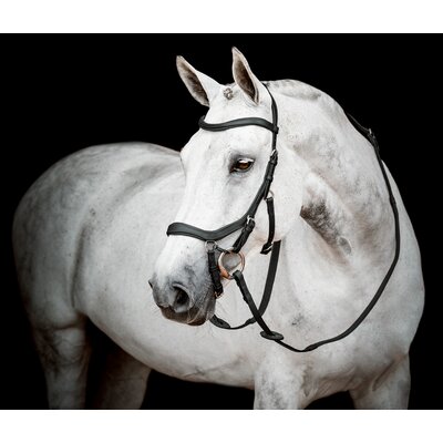 HORSEWARE Micklem 2 Competion Bridle 
