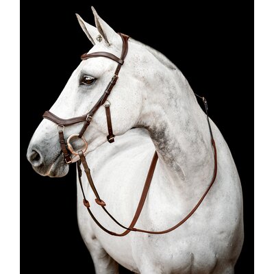 HORSEWARE Micklem 2 Competion Bridle 