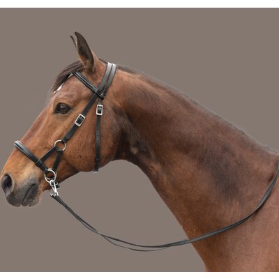 F.R.A. Gebisslose Zäumung Pardoes Skala 3 schwarz | Warmblut