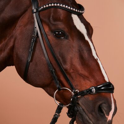 kieffer Trensenzaum Melody