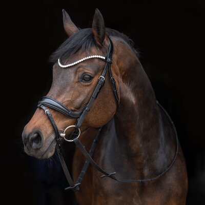 PASSIER Trensenzaum Fantastic schwarz | Warmblut