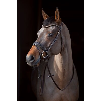 Cheval de Luxe Trensenzaum San Francisco – Ansicht 4