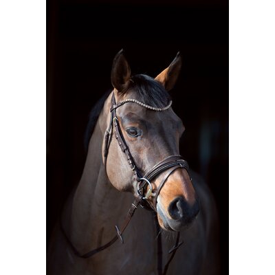 Cheval de Luxe Trensenzaum San Francisco – Ansicht 5