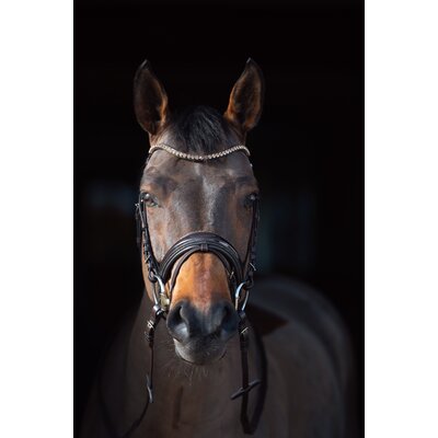Cheval de Luxe Trensenzaum San Francisco – Ansicht 6