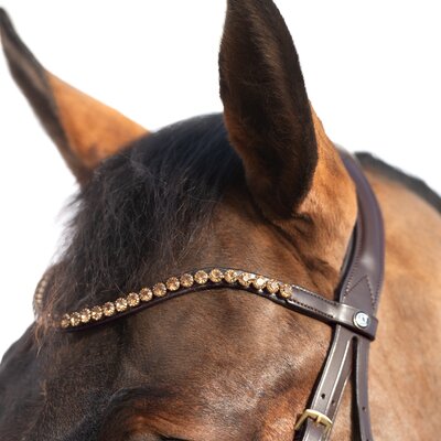 Cheval de Luxe Trensenzaum San Francisco – Ansicht 3