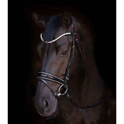 Cheval de Luxe Trensenzaum San Francisco – Ansicht 3