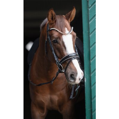 Cheval de Luxe Trensenzaum San Francisco – Ansicht 5