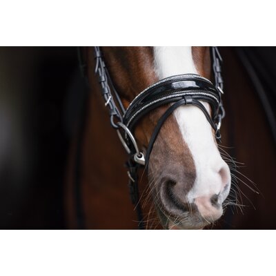Cheval de Luxe Trensenzaum San Francisco – Ansicht 6