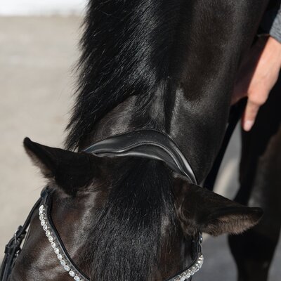 Cheval de Luxe Trensenzaum San Francisco – Ansicht 4