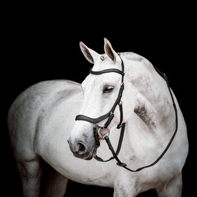 HORSEWARE Micklem Competition Bridle 3.0 – Ansicht 1