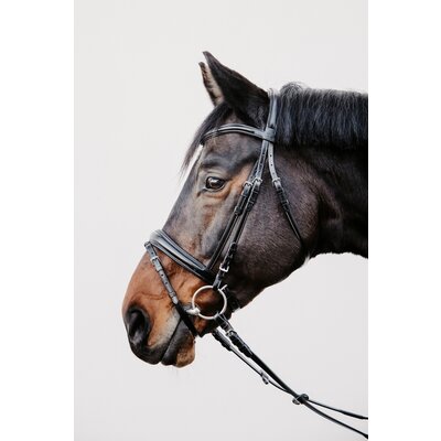 DÖBERT Trensenzaum Köln schwarz | Warmblut