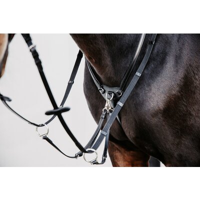 DÖBERT Martingal Bremen Premium schwarz | WB