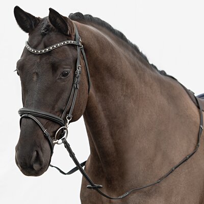 DÖBERT Trensenzaum Düsseldorf Premium schwarz | Warmblut