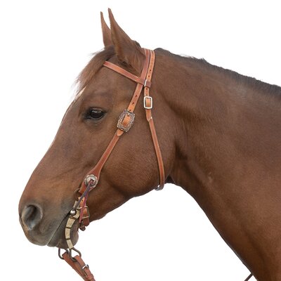 L-pro West Westerntrense natur | Pony