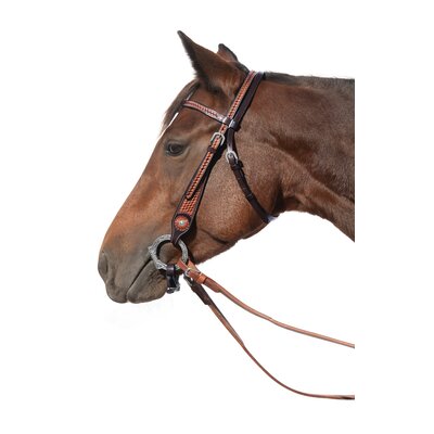 L-pro West Westerntrense brownblack | Warmblut