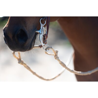 Passion 4Q Westernzügel Romal Reins Rawhide – Ansicht 6