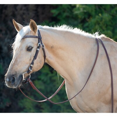 Passion 4Q Westerntrense – Ansicht 1