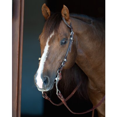 Passion 4Q Western-Einohrtrense mit Nieten – Ansicht 2