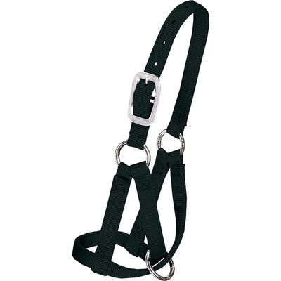 WEAVER LEATHER Lama-Halfter 