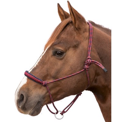 L-pro West Knotenhalfter Bicolor 
