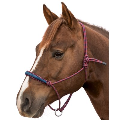 L-pro West Knotenhalfter Bicolor 
