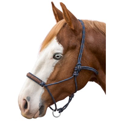 L-pro West Knotenhalfter Bicolor 