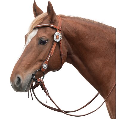 Passion 4Q Westerntrense 
