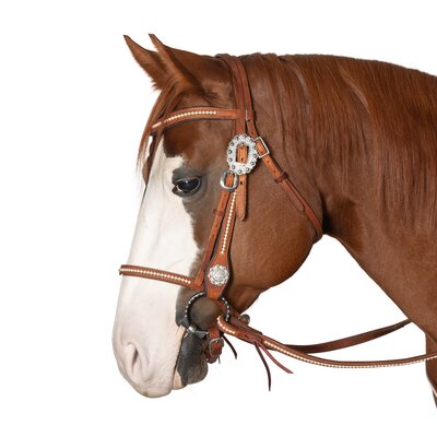 Passion 4Q Westerntrense – Ansicht 3