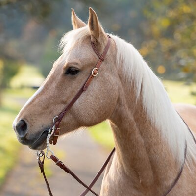 Passion 4Q Einohr-Westerntrense – Ansicht 1