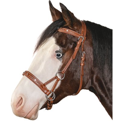 L-pro West Sidepull mit Nieten und Glitzersteinen 