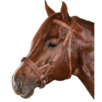 L-pro West Sidepull Cairns brown | Warmblut