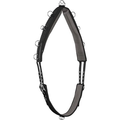 Horse-friends Longiergurt schwarz | Pony