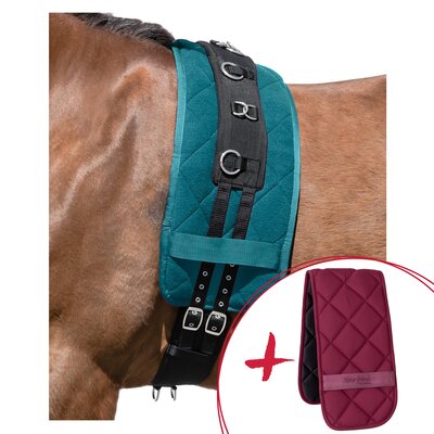 Horse-friends Set Longieren, Longiergurt + Unterlage – Ansicht 2