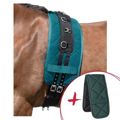 Horse-friends Set Longieren, Longiergurt + Unterlage – Ansicht 1