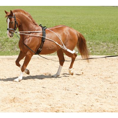 Horse-friends Longiersystem Pony