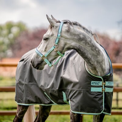 HORSEWARE Halfter Fieldsafe 