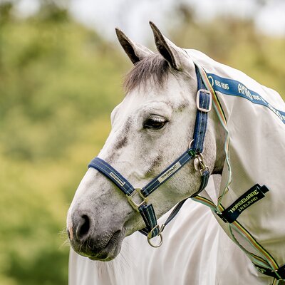 HORSEWARE Halfter Fieldsafe 