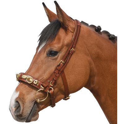 Loesdau Kappzaum Profi braun | Pony/Vollblut