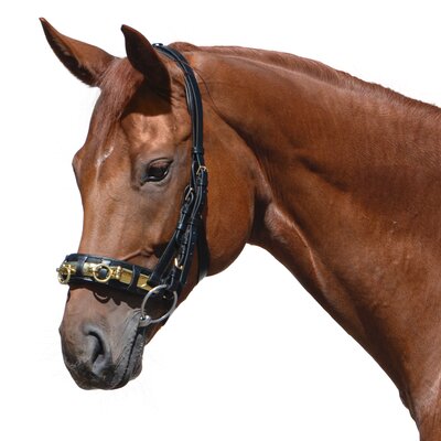 MONTIVUM Kappzaum schwarz | Warmblut