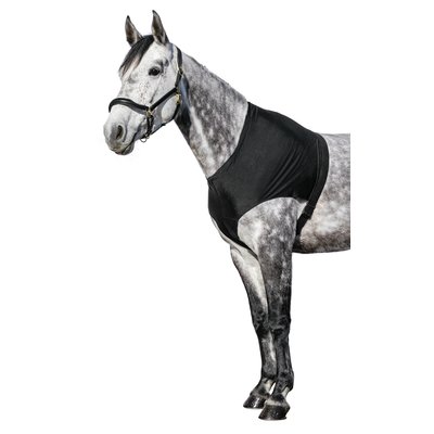 Loesdau Brustschutz für Decken schwarz | XL (großes Warmblut)