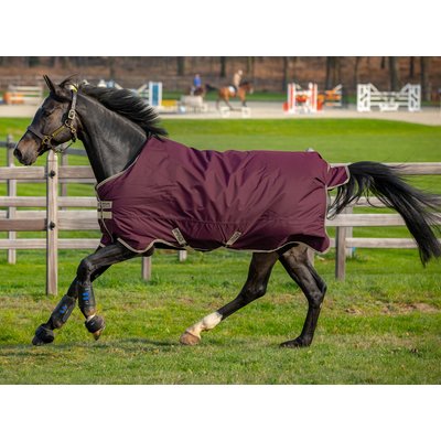 Horseware Outdoordecke AMIGO Hero Ripstop 100 g 