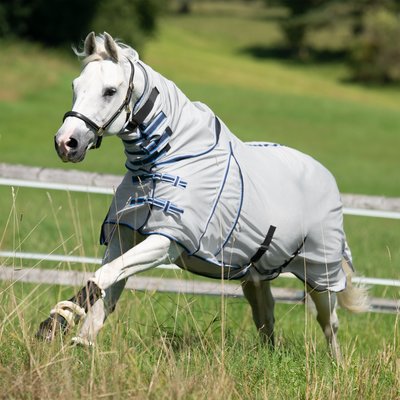 Horse-friends Fliegendecke mit elastischem Einsatz – Ansicht 3
