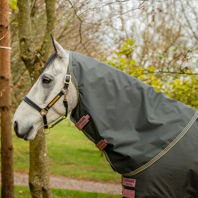 HORSEWARE Halsteil AMIGO Hero Ripstop shoadow/rose/navy | XL