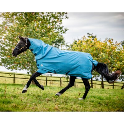HORSEWARE Outdoordecke AMIGO Hero 900 Revieve plus 50 g divers | 160 cm