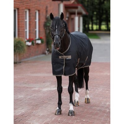 Bucas Stalldecke Freedom – Ansicht 2