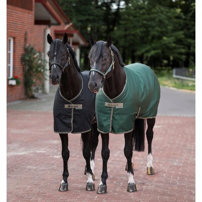 Bucas Stalldecke Freedom – Ansicht 5