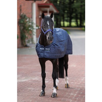 bucas Unterdecke Liner
