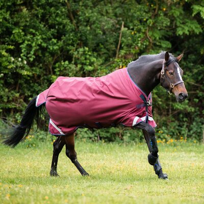 HORSEWARE Outdoordecke RAMBO Original Lite 